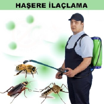Antalya Böcek İlaçlama